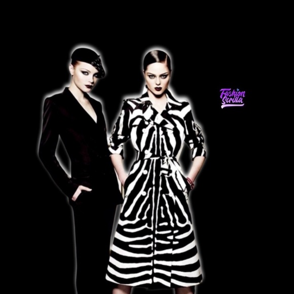 Christian Dior Soft Babe Calf Hair Zebra Animal Vintage JazzClub Collection Bag - Picture 15 of 16